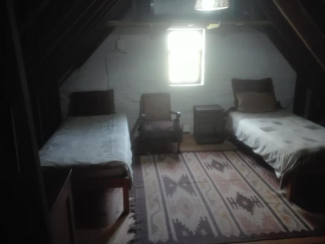 Emerald Hill Cottage Port Elizabeth Extérieur photo
